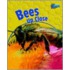 Bees Up Close