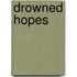 Drowned Hopes