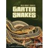 Garter Snakes