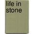 Life in Stone
