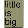 Little is Big door Claudia Courtney