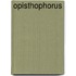 Opisthophorus