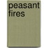 Peasant Fires