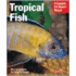 Tropical Fish