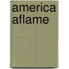 America Aflame door David Goldfield