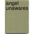Angel Unawares