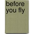 Before You Fly
