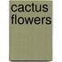 Cactus Flowers