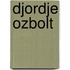 Djordje Ozbolt