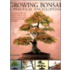 Growing Bonsai