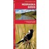 Nebraska Birds