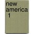 New America  1