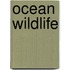 Ocean Wildlife