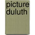 Picture Duluth