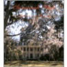 Savannah Style door Susan Sully