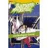 Shaman King 30 door Hiroyuki Takei