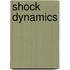 Shock Dynamics