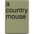 A Country Mouse