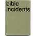 Bible Incidents