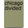 Chicago Divided door Paul Kleppner