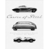 Curves of Steel by Dennita Sewell