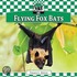 Flying Fox Bats