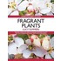 Fragrant Plants