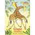 Giant Giraffes!