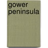 Gower Peninsula by David Gwynn