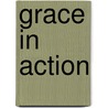 Grace in Action door Richard Rohr