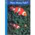 How Many Fish ?