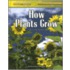 How Plants Grow