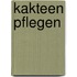 Kakteen pflegen
