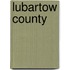Lubartow County