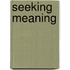 Seeking Meaning