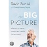 The Big Picture by David Taylor