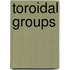 Toroidal Groups