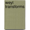 Weyl Transforms door Man Wah Wong