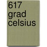 617 Grad Celsius door Horst Eckert