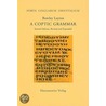 A Coptic Grammar door Bentley Layton