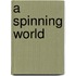 A Spinning World