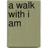 A Walk with I Am door James Gray Silence