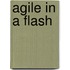 Agile In A Flash