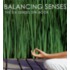 Balancing Senses