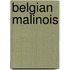 Belgian Malinois