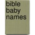 Bible Baby Names