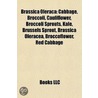 Brassica Oleraca door Not Available