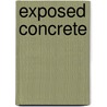 Exposed Concrete door Per Brauneck