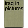 Iraq In Pictures door Stacy Taus-Bolstad