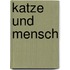 Katze und Mensch